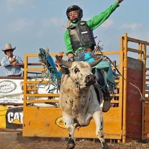 Meet your Posher, Dawson